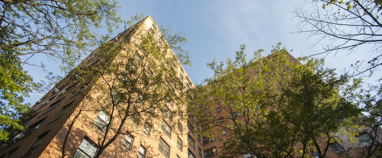 Looking up The Howard